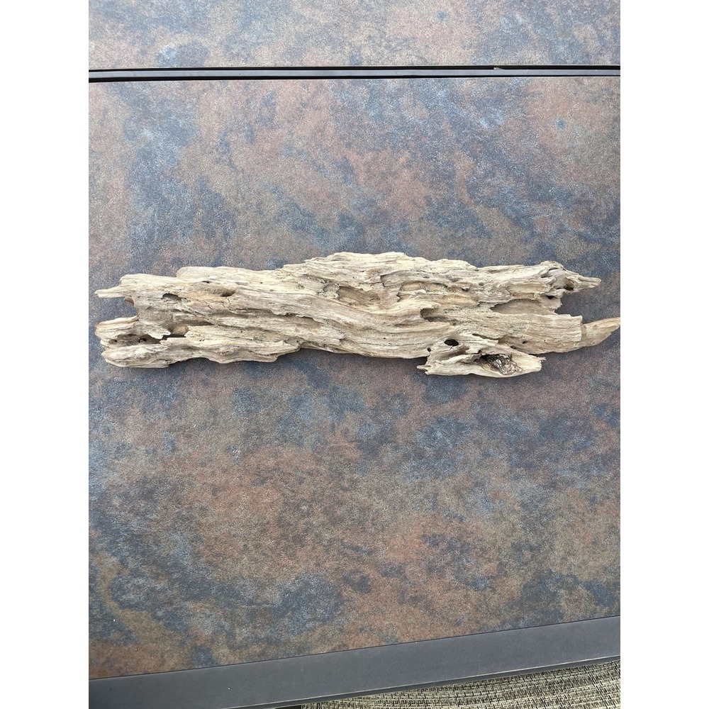 Natural Driftwood for Plants Terrarium Taxidermy Art Projects